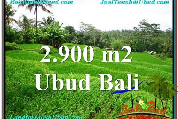 JUAL MURAH TANAH di UBUD 2,900 m2 di Ubud Tampak Siring