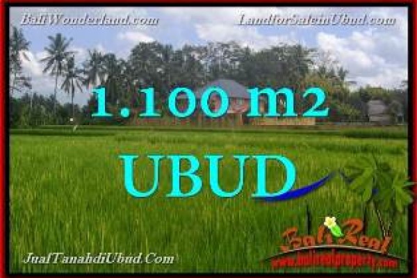 DIJUAL MURAH TANAH di UBUD BALI 1,100 m2 di Ubud Pejeng