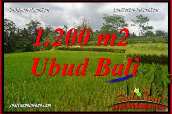 Dijual Tanah Murah di Ubud Bali TJUB693