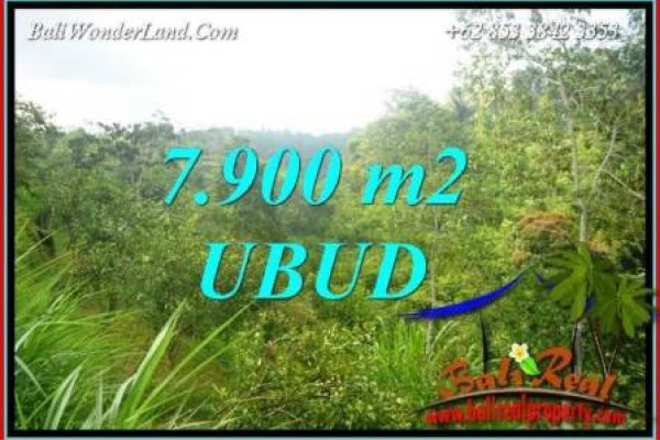 Tanah Dijual di Ubud 7,900 m2  View Tebing dan sungai