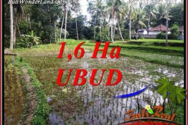 Dijual Tanah di Ubud 16,000 m2 di Ubud Tegalalang
