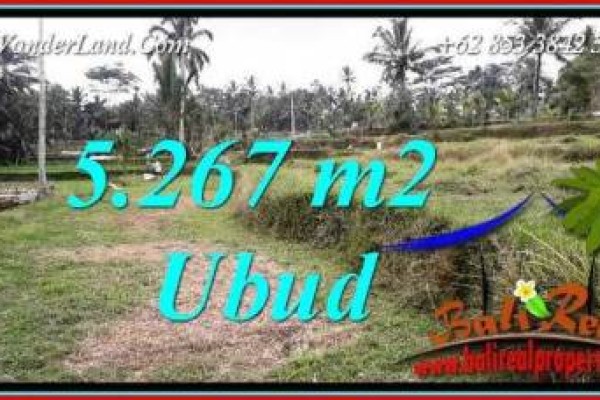 Investasi Property, Tanah di Ubud Dijual Murah TJUB743