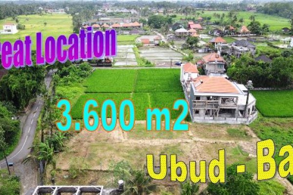 TANAH MURAH di UBUD BALI 3,600 m2 di Sukawati Ubud