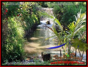 JUAL TANAH di UBUD 10 Are View Sawah dan sungai kecil link Villa