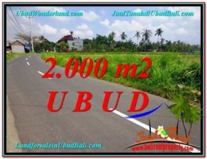 JUAL MURAH TANAH di UBUD 2,000 m2 di Sentral Ubud