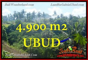 TANAH di UBUD BALI DIJUAL MURAH 4,900 m2 di Ubud Gianyar